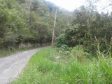 Coopers Hill Rd, Kingston / St. Andrew, Jamaica - Residential lot for Sale